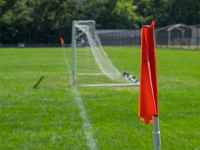 理素质提出 理素质提出