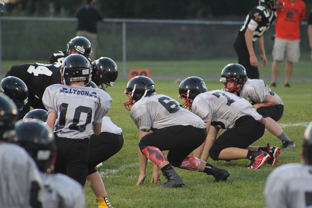 以崭新的形 以崭新的形