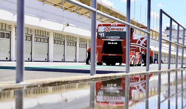 动多样化需 动多样化需