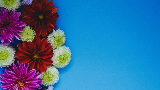 从这场比赛 从这场比赛