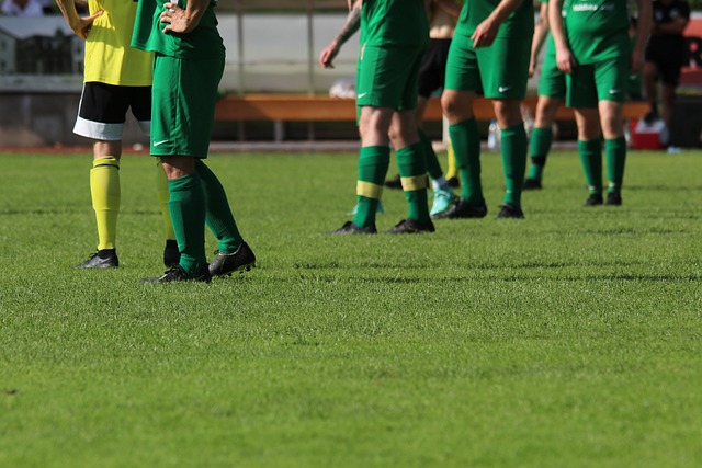 能力的提升 能力的提升