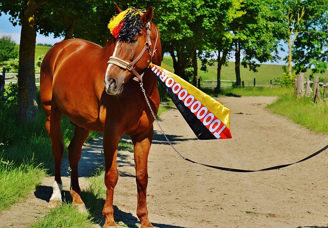 真正的团队 真正的团队