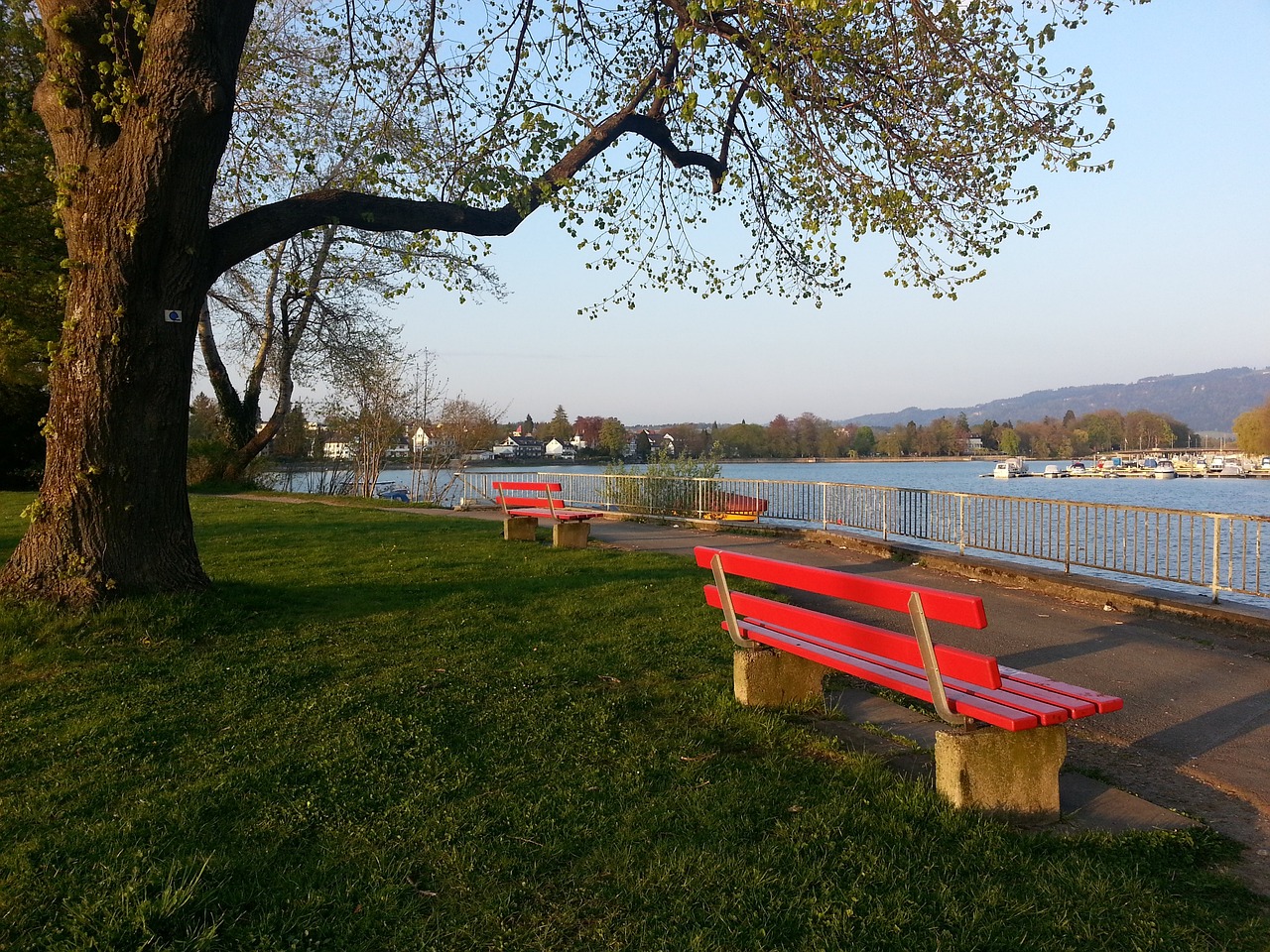 藏的深意 藏的深意