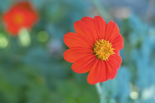 为您带来独 为您带来独